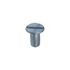 Screw M5x10 Din 963