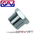 Taper Reducer Bush 1/2 X 1/8 M/f