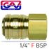Brass Quick Coupler 1/4'f German