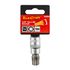 Socket Bit 3/8'dr Torx T60 S2
