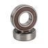 Bearing Kit (15/19) Motor Service Kit